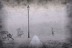 park path and lamp drawing