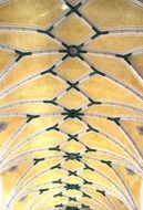 vaulted ceilings