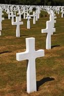 Cemetery with white crosses in america