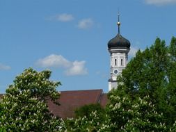 steeple of the church in the leaves of trees, Ulm