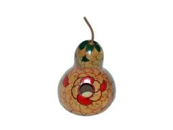pumpkin as a decoration for the home