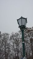 street lamp near a tree in winter