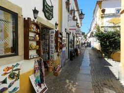 Narrow street with houses in Obidos