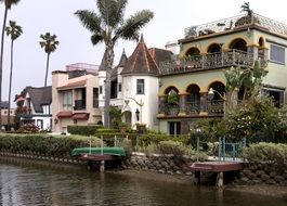 green palm trees near the house near the river