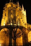 illuminated erfurt dom