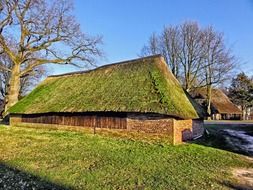 green grass on rooftops in the netherlands