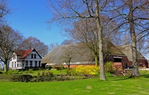 netherlands farm