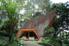 modern house with lodge in forest