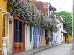 Picture of the colorful facades in cartagena de indias
