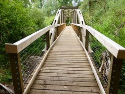 wooden footbridge in the park