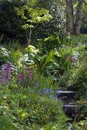 hillside garden planting