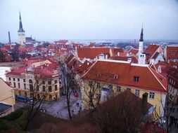 estonia tallinn old town