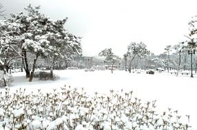 Winter landscape in Hanam city