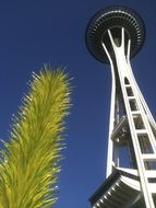 seattle space needle landmark