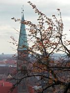 church steeple behind a tree with yellow leaves