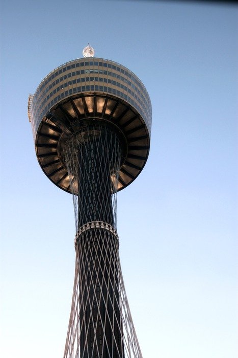 Sydney tower against the blue sky