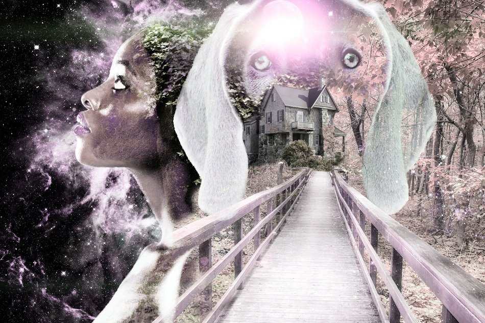 abstract image of a portrait of a girl and a dog over a wooden bridge