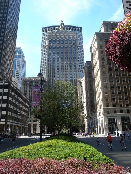 Trees among the skyscrapers of New York