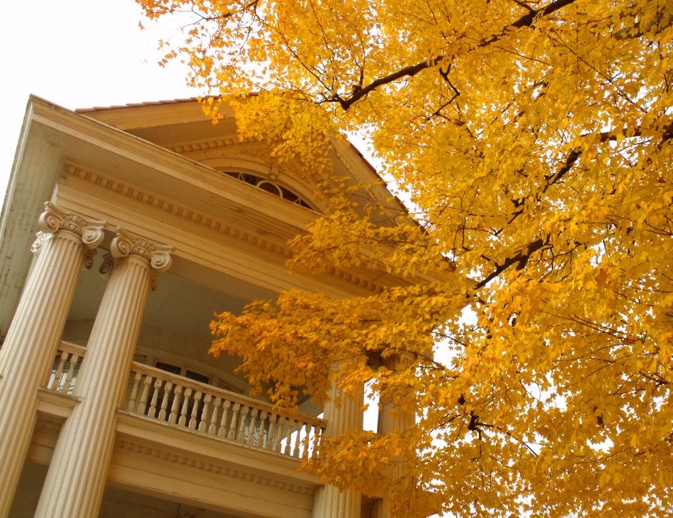balcony of classic white building at autumn foliage