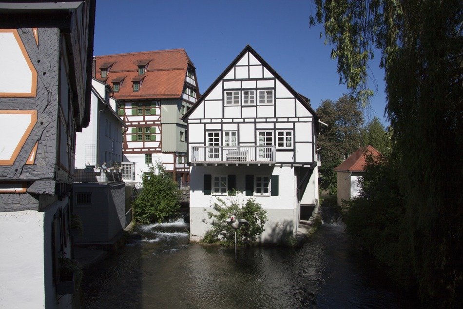Fachwerkhäuser among the plants in the fishing quarter
