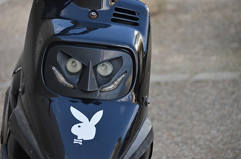 Scooter with two wheels and white bunny icon