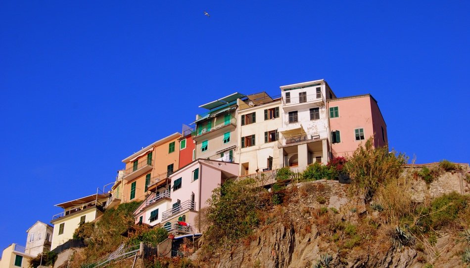view on houses located on the mountain in Manarola, Italy