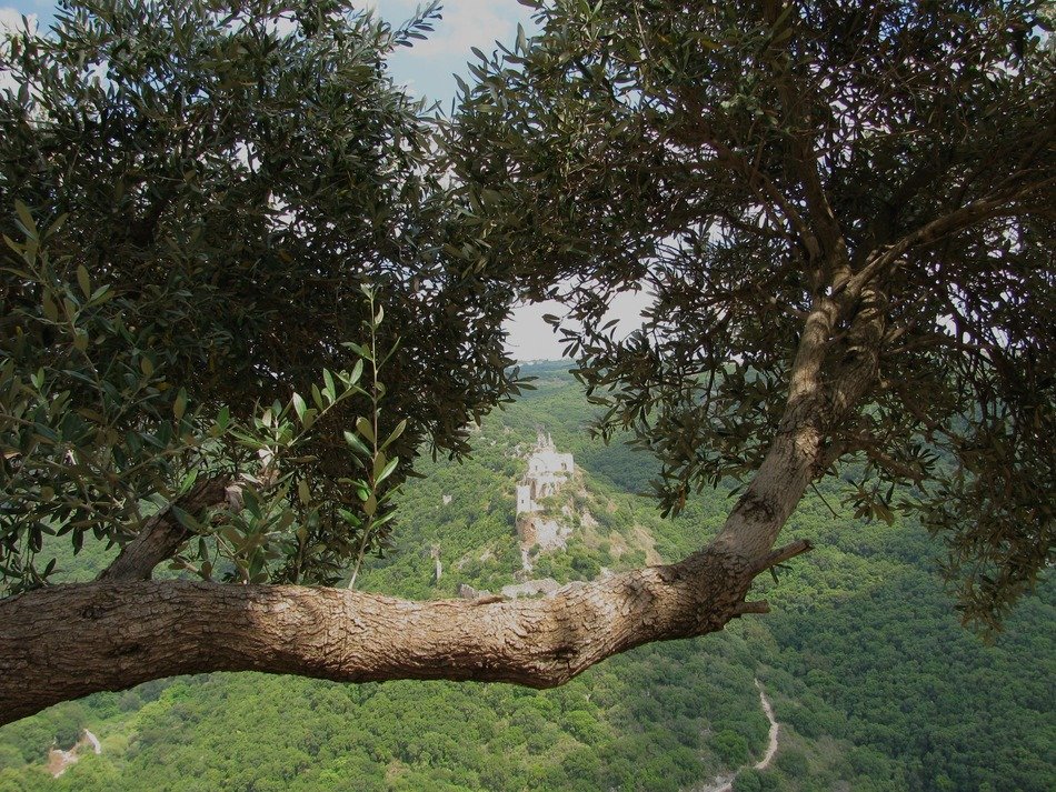 distant castle in woodland, israel