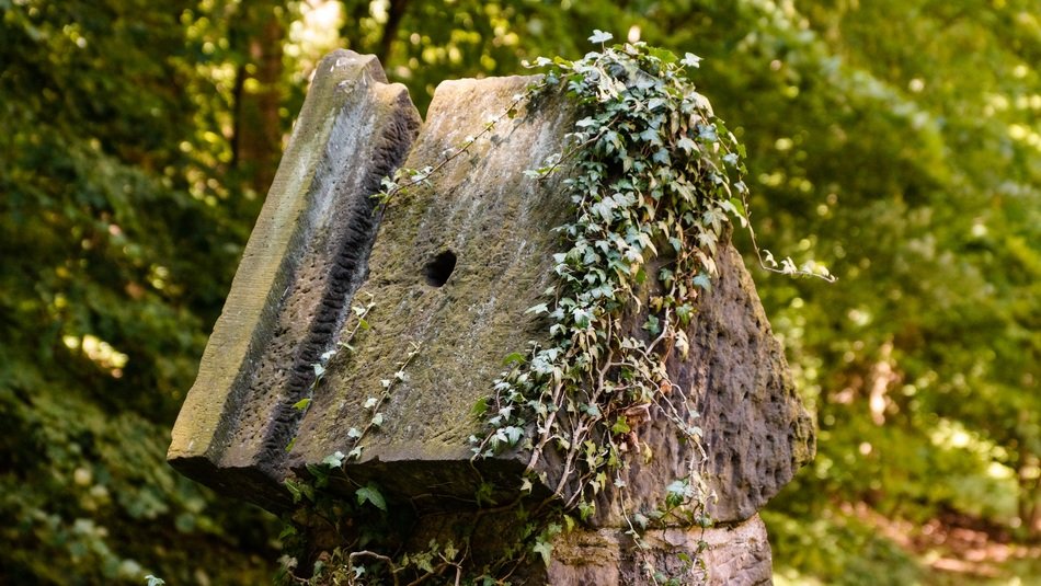 overgrown stone of ruined gate