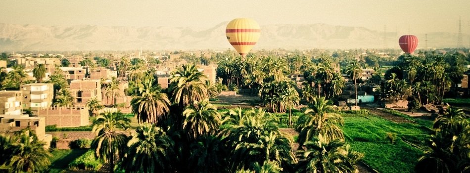 balloons fly over green trees