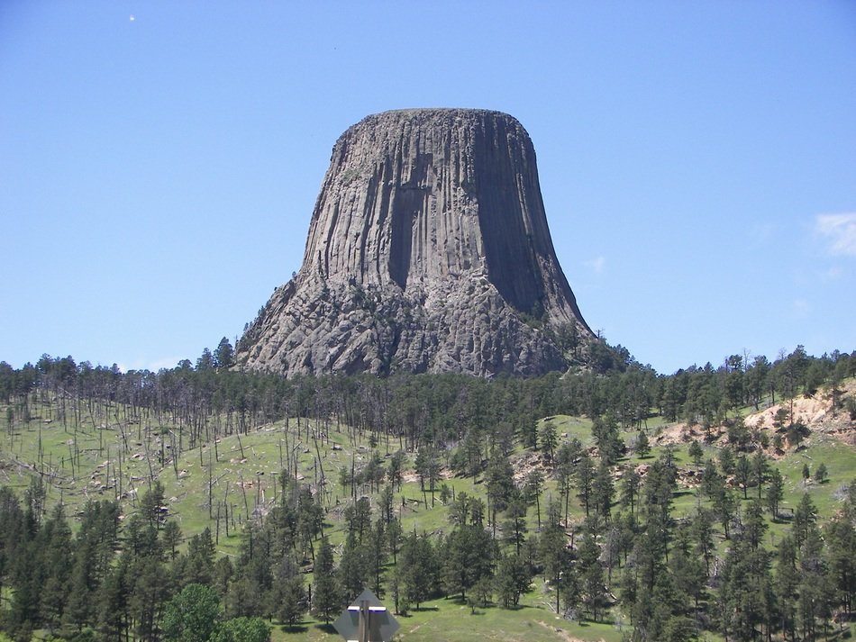 devils tower among the plants wyoming