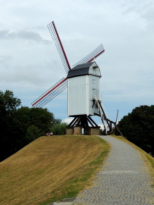 distant view of a traditional mill in belgium