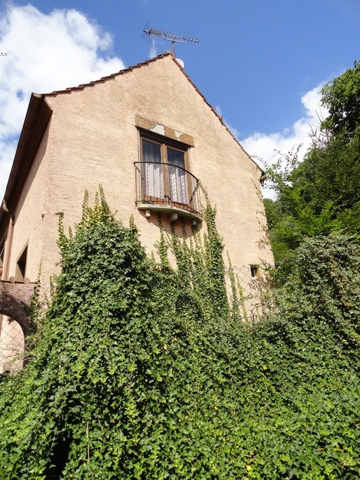 ivy on home