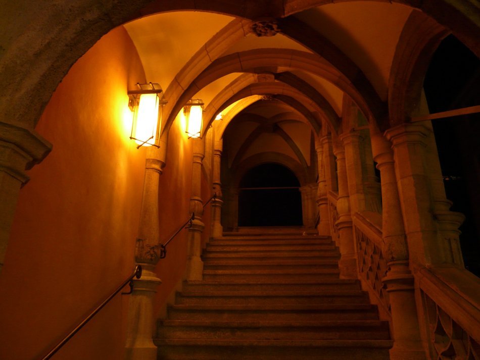 Input with lamps into the cellar