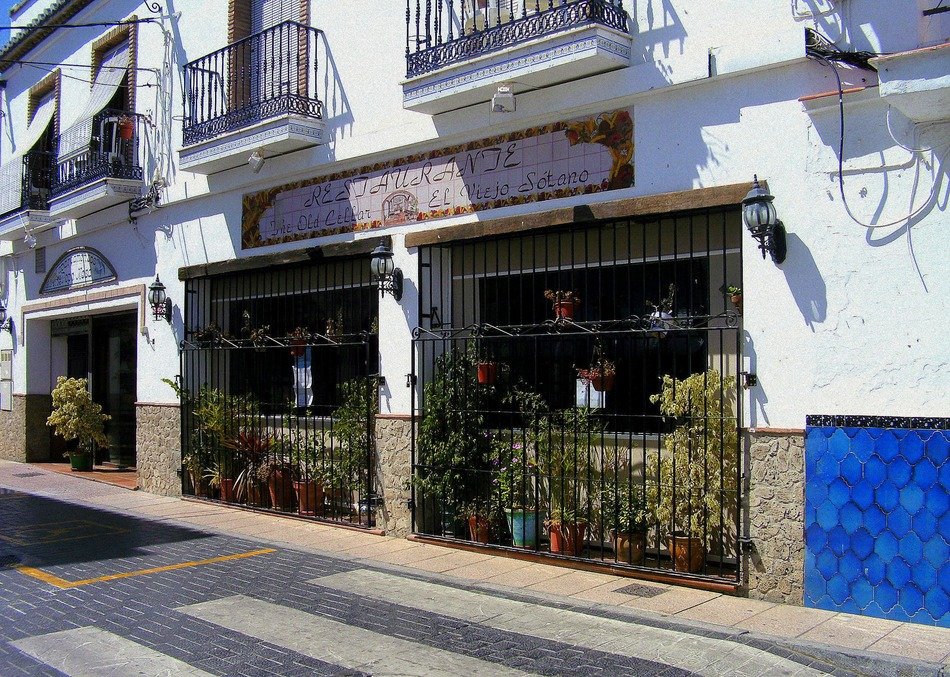 potted flowers near the lattice on the window