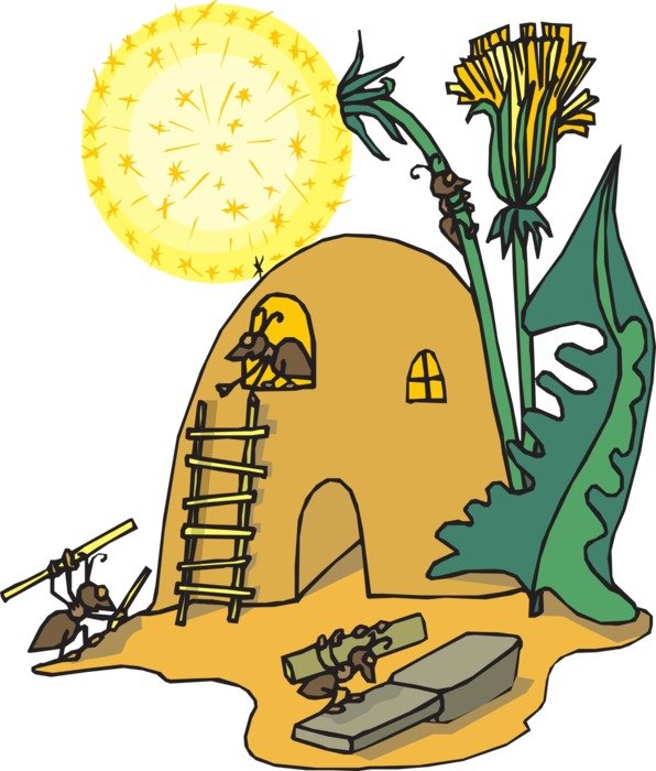 Home in the sand hill