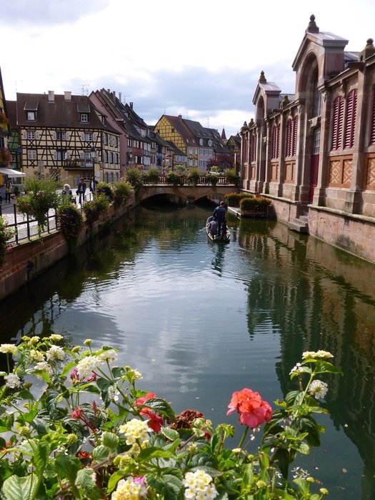 flowers near the canal in colmar