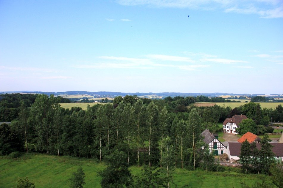 Lanscape of the farm and trees