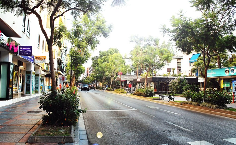 Street with tress in the Spain
