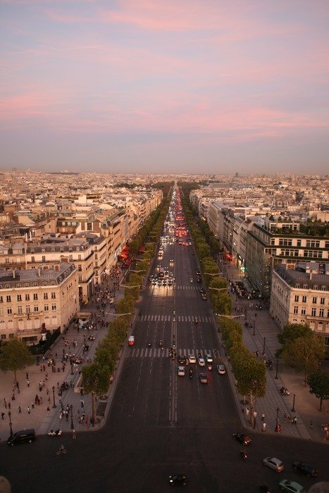 panorama of the avenue to the Eliseevsky fields in Paris