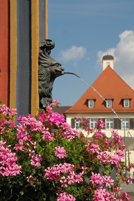 Side view of the fountain with a gargoyle on the background of the cityscape