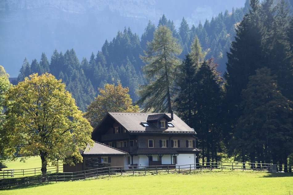 home hunting lodge in green forest