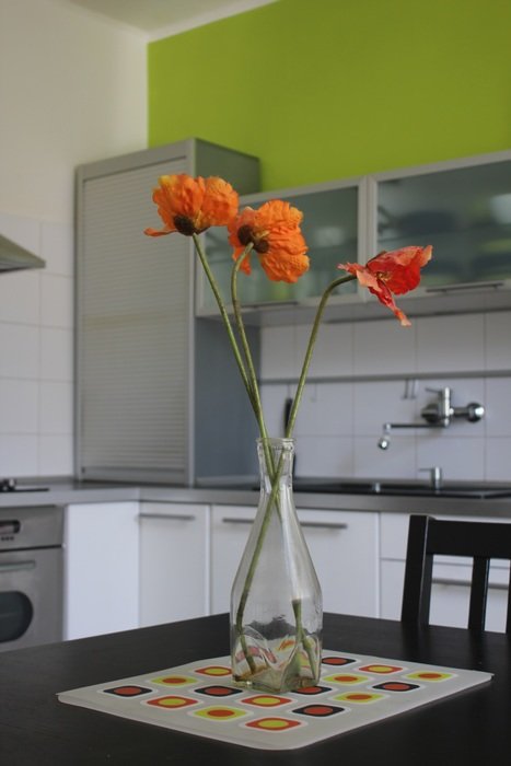 kitchen kvetina