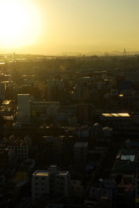 osaka evening view
