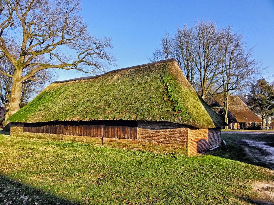 green grass on rooftops in the netherlands
