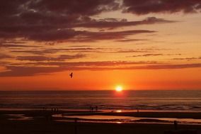 red sunset at north sea