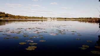 landscape of summer time lake