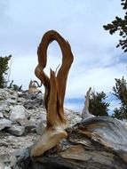rocky landscape in national park in nevada