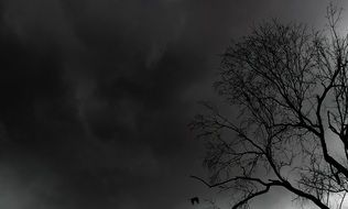 dark night gloomy