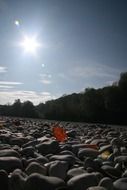 stones as a nature idyll