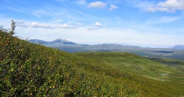 Landscape Picture of nature in Sweden